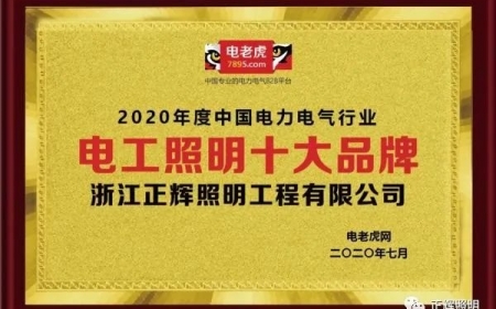 品牌榮譽！祝賀浙江正輝照明榮膺2020年“電工照明十大品牌”